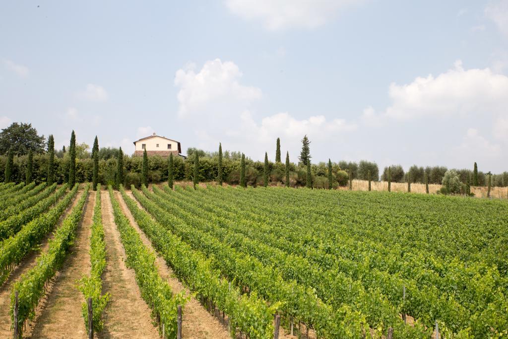Le Buche Wine Resort&Spa Macciano Eksteriør billede