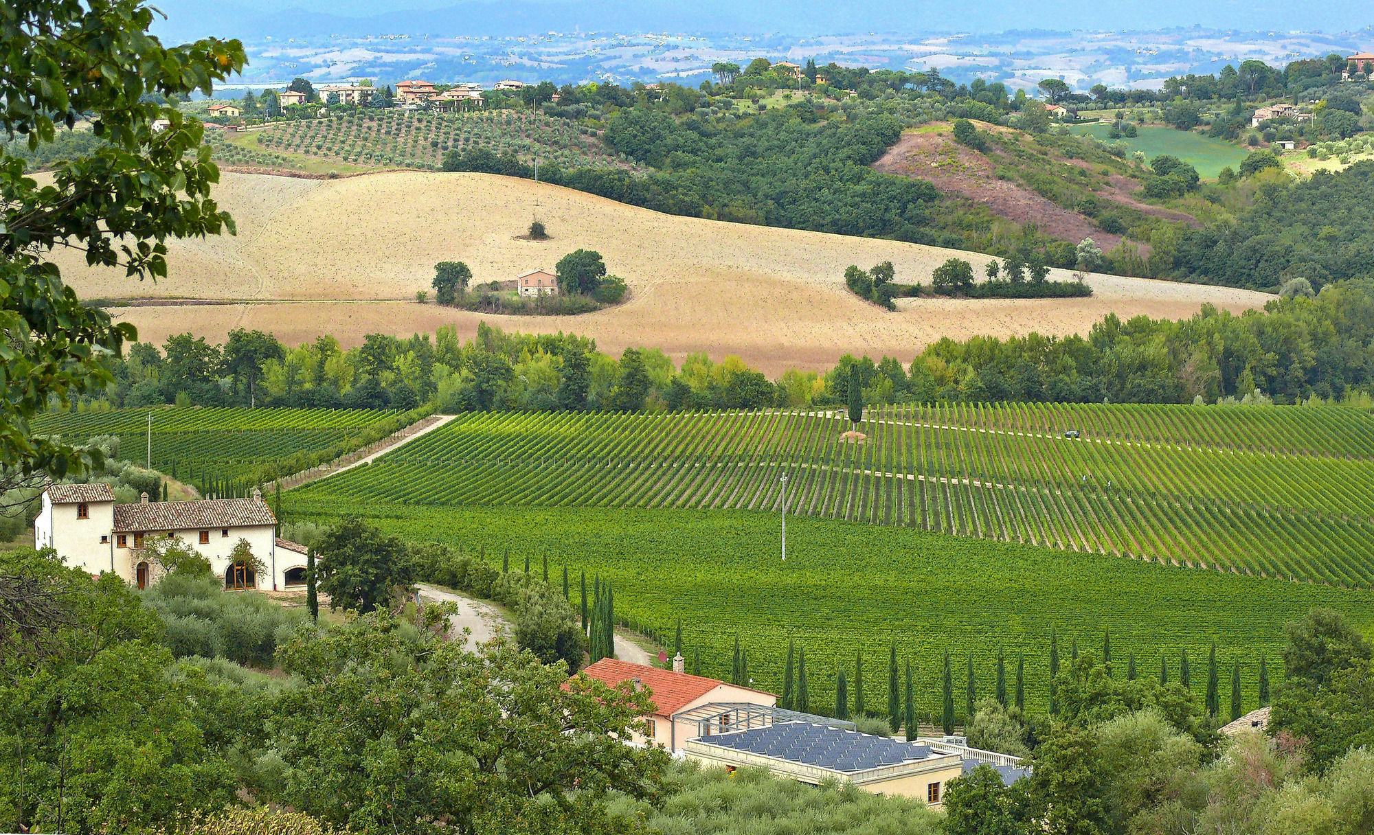 Le Buche Wine Resort&Spa Macciano Eksteriør billede